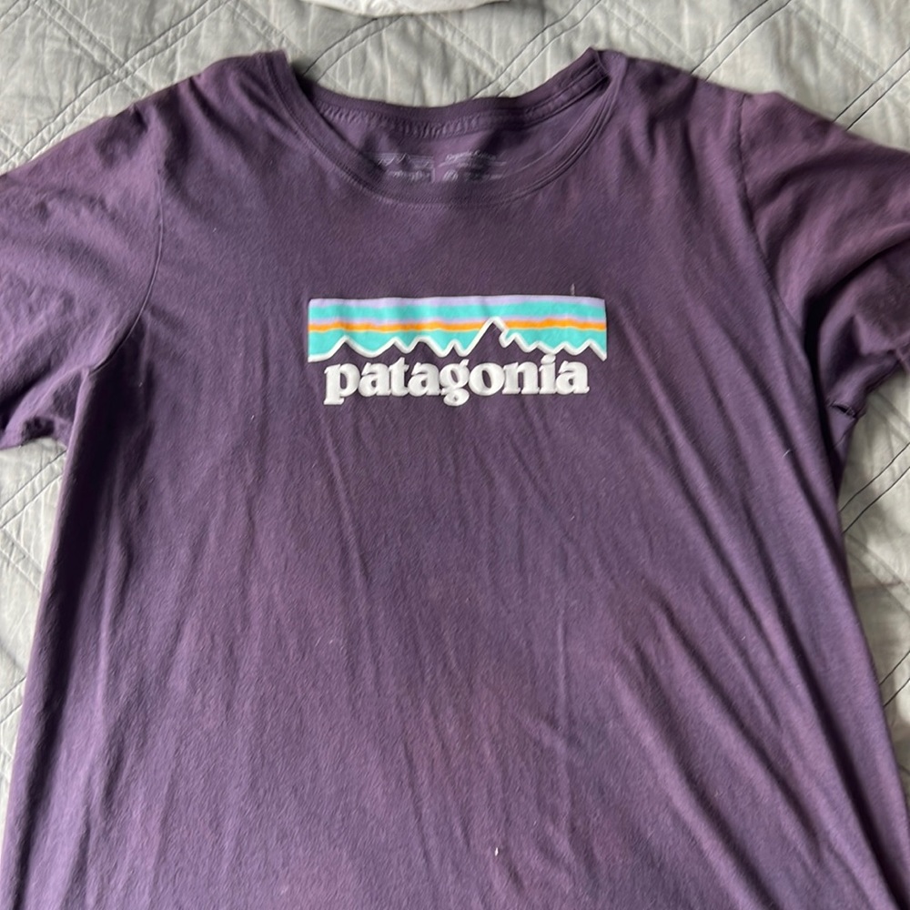 Patagonia Regular Fit T-Shirt